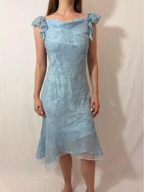 Light Blue Rose Floral Velvet Ruffle Japanese Vintage Formal Coquette Dress